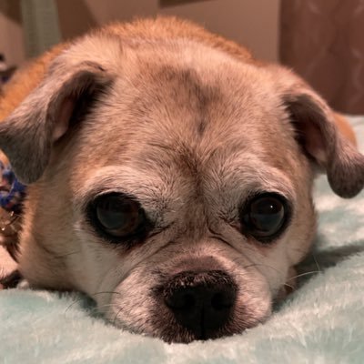 Laino3E's profile picture. 