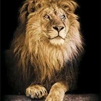 BRAYO SOL'JAH (@bryanmatata) 's Twitter Profile