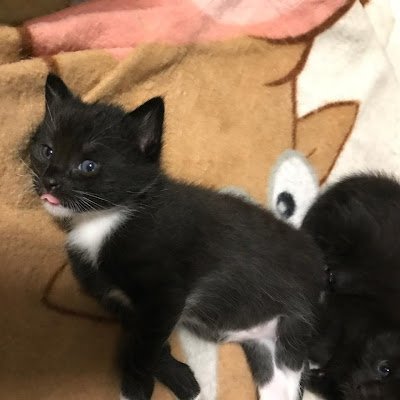 Snoop198210's profile picture. 