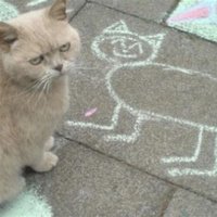 dk2kowns (@dk2kowns) 's Twitter Profile Photo