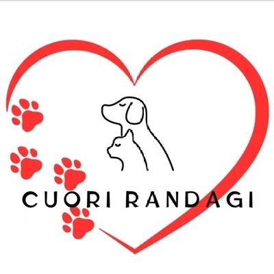 Nasce a Cavallino Lecce cuorirandagi Odv organizzazione di volontariato animalista.
