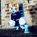 Raya 🧡 (@rayadonutdog) Twitter profile photo Raya 🧡 (@rayadonutdog) Twitter profile photo