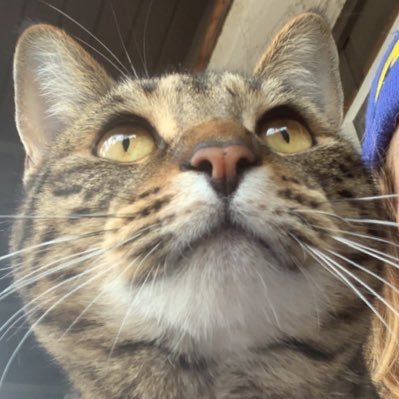 Jbzllr's profile picture. 