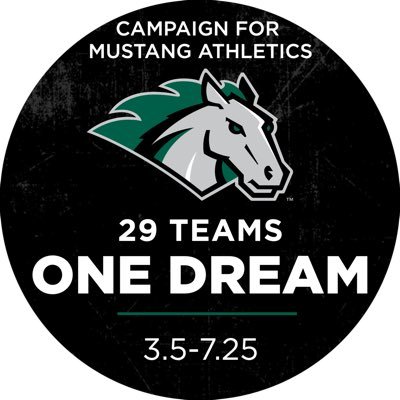 The Official Twitter account of Stevenson University Men's Hockey