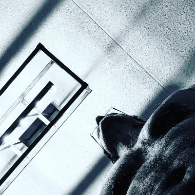 DM for collabs https://t.co/bcWt2Moohz
IG: https://t.co/lNzaydqIwu
Gay exhib daddy in Montreal, don't take it too seriously.