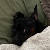 BW (@merican_dumbass) 's Twitter Profile