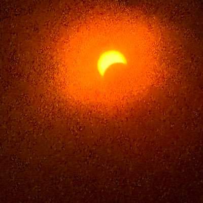 mmtutxo's profile picture. 