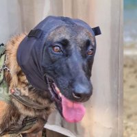 CuStone (@thecustone) 's Twitter Profile