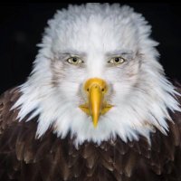 Sizsma (@_sizsma) 's Twitter Profile
