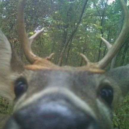 illyoats's profile picture. 