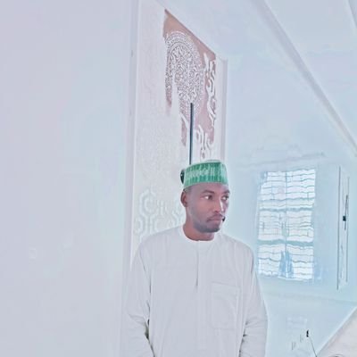 Mukhtardecor's profile picture. PAINTING AND DECORATION