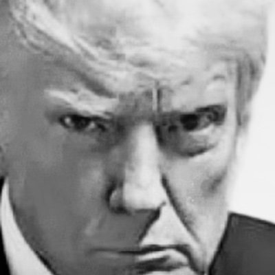 lfgcoach's profile picture. America First, Based, Common Sense.