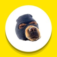 SkiMaskMe (@skimask_now) 's Twitter Profile Photo SkiMaskMe (@skimask_now) 's Twitter Profile Photo