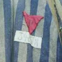 Homo Sapien (@mrhomo92) 's Twitter Profile Photo