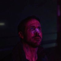 Joel Barish (@priasessat) 's Twitter Profile Photo Joel Barish (@priasessat) 's Twitter Profile Photo