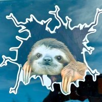 Rebecca Davidson (@rebeccadav68596) 's Twitter Profile