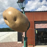 仮面の忍者ナマハゲ (@namahagekamen) Twitter profile photo