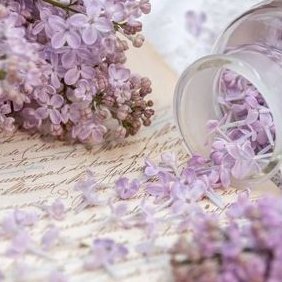 ayumiyumi0091's profile picture. この垢は今急性ベルばら中毒患者の鳴き声でいっぱいです
うるさいと思うのでフォローしないでください
個人情報は全部フェイクです当然
I ain't checkin' no DMs from some stranger, you fuckin' scum.
DM 보내는 사기 계정 진짜 짜증 나 죽겠네