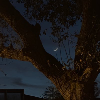 smatherrs's profile picture. 