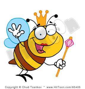 meadow54's profile picture. 