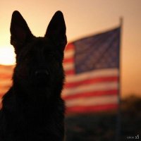 Tango Mike Lima (@tango_lima38) 's Twitter Profile