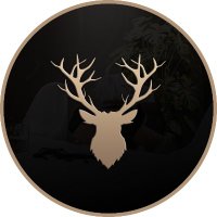 Arthur (@provedthmwrong) 's Twitter Profile