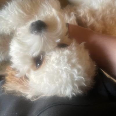Annie765356's profile picture. 