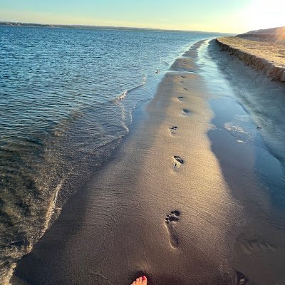 SassiPeaches22's profile picture. 