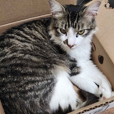 Willyxrsx's profile picture. 