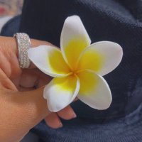Rana π (@rana_abdelsadek) 's Twitter Profile