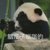 呜吼呜呼 (@ahhwuhu) Twitter profile photo 呜吼呜呼 (@ahhwuhu) Twitter profile photo