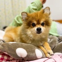 ことみ🌧️受験生 (@msys_ot) 's Twitter Profile
