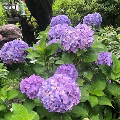 hamuuma_'s profile picture. 25↑好きな事呟いてる！！