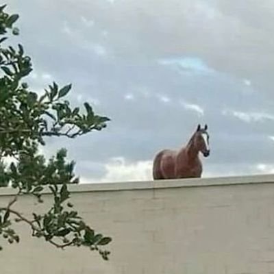 DarkHum08143936's profile picture. Sports Lover - ICT SPAIN MI BARCELONA MU HOCKEY INDIA

Next Destination - LA 2028 Olympics