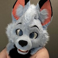 Auroras but just the jiggly bits (@arcticaurad) 's Twitter Profile Photo