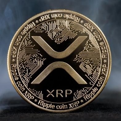 Mario70849390's profile picture. Taking it one Day at a Time..
New Beginnings to Endless Possibilities 🚀