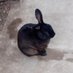 jose (@jose59379992) Twitter profile photo jose (@jose59379992) Twitter profile photo