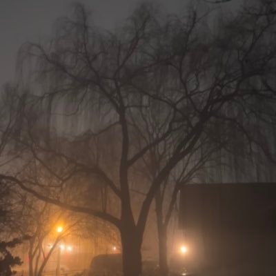 meowbarkery's profile picture. 