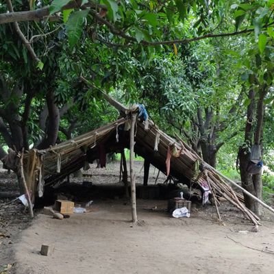 Save_Politics's profile picture. 