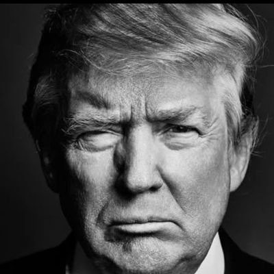 badmutton77's profile picture. America!!! long live the Republic. long live Donald J Trump! arrest the traitors, MAGA!