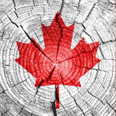 BIvicek's profile picture. 