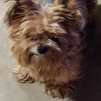 Lynn (@lynn1689908617) 's Twitter Profile