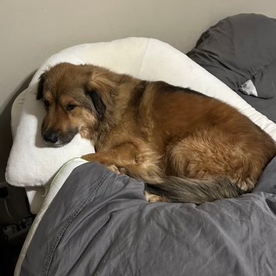 Ryan_Day36's profile picture. 