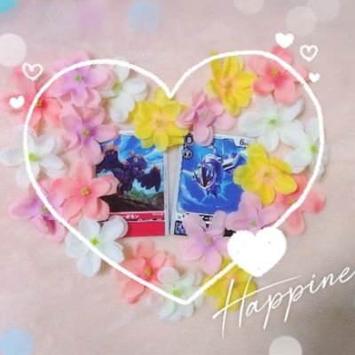 Hal(@volcanic0420)のデジカメインアカウント🔥🐉情報収集や大会運営さんのRT多め。素敵なイラストやデジモン(イベントやグッズ)の布教もします(⁎ᴗ͈ˬᴗ͈⁎)リプやDMの通知が来ない時があるので返信が出来てなかったらごめんなさい💦