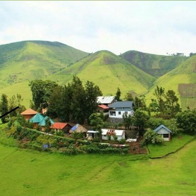 Peaceforever05's profile picture. 