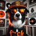 Dog. With. Glasses.™️ (@dogw_glasses) Twitter profile photo Dog. With. Glasses.™️ (@dogw_glasses) Twitter profile photo