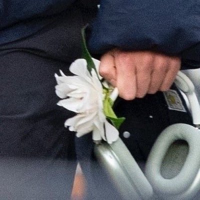 goldnangellry's profile picture. #HARRY the light that comes from him is real & infinite.