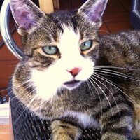 Joachim Esenwein (@takeoffje) 's Twitter Profile