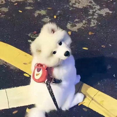 Jjjkkk21442143's profile picture. 