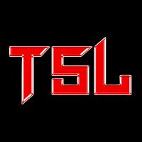 The Secret Level (@_thesecretlevel) 's Twitter Profile